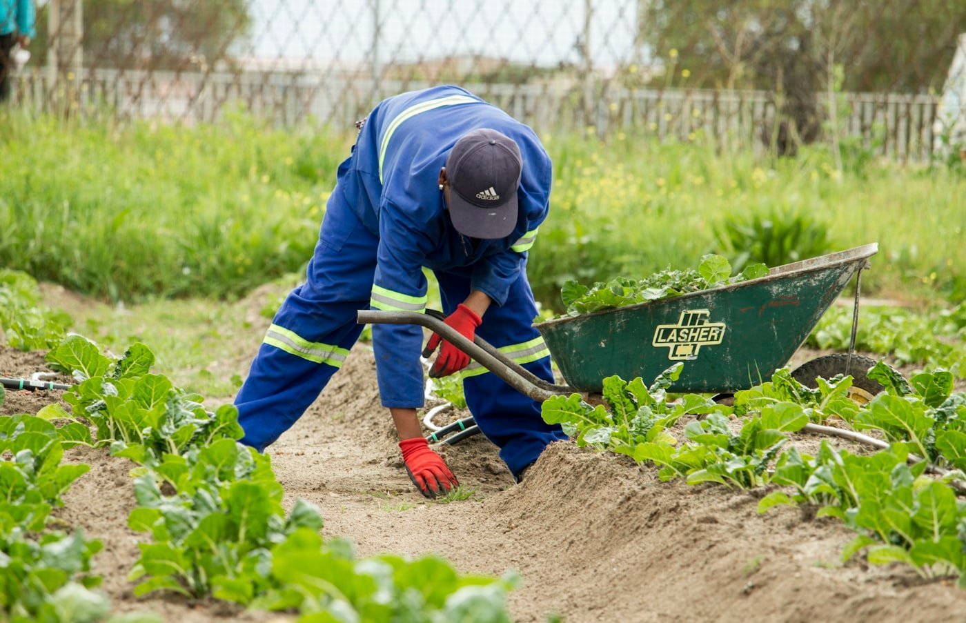 Sustainable Agriculture — BetterLife Agro-Tourism