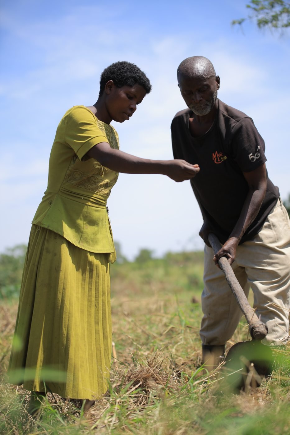 A woman and a man planting maize together