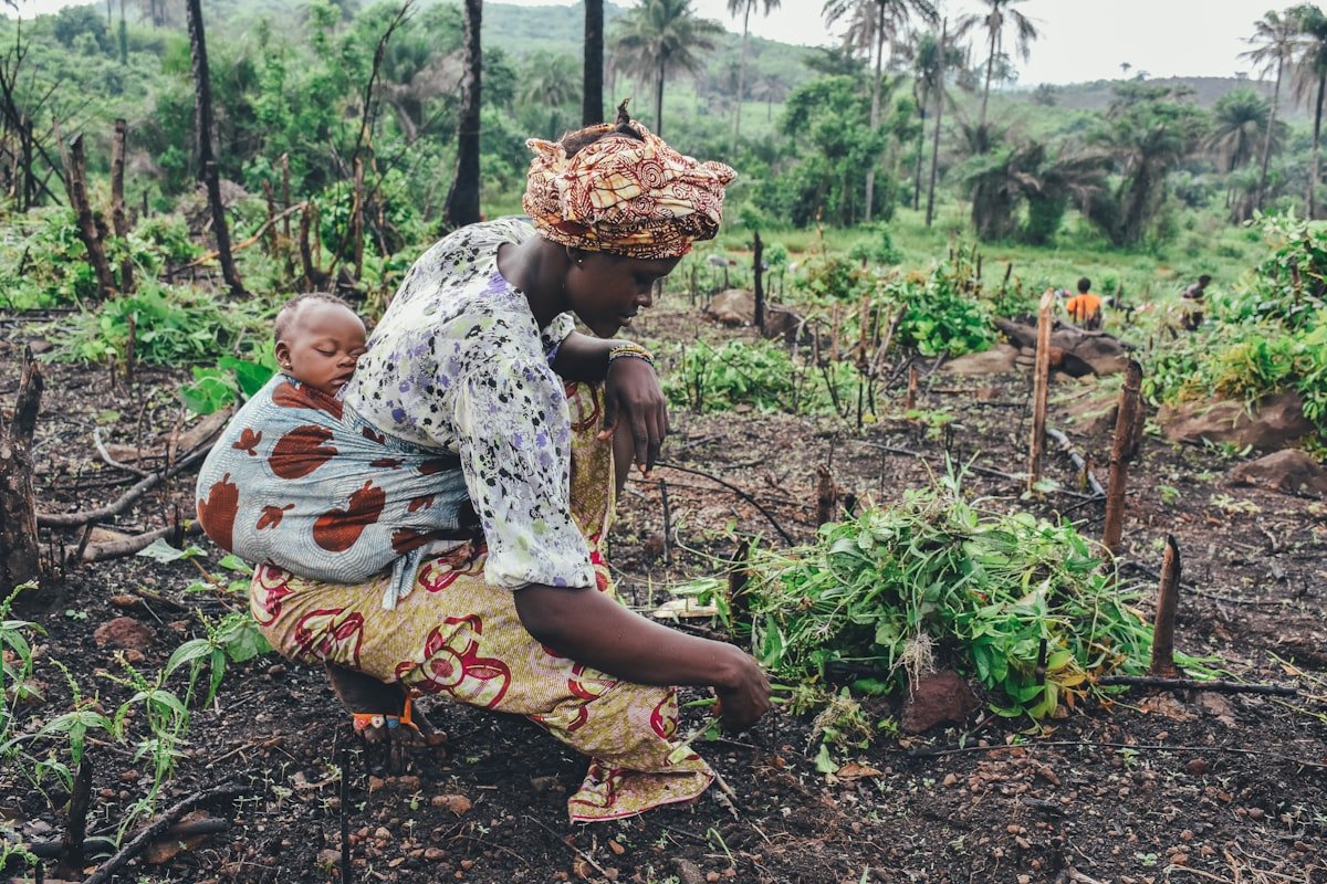 Nature-Based Solutions Programme