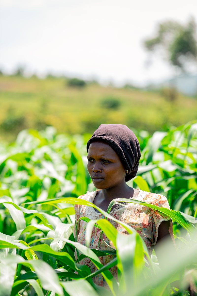 A woman standing in her maize field in Rukungiri