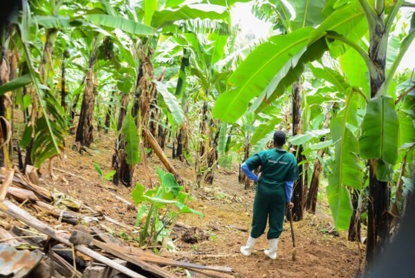 BetterLife Agro-Tourism Farm
