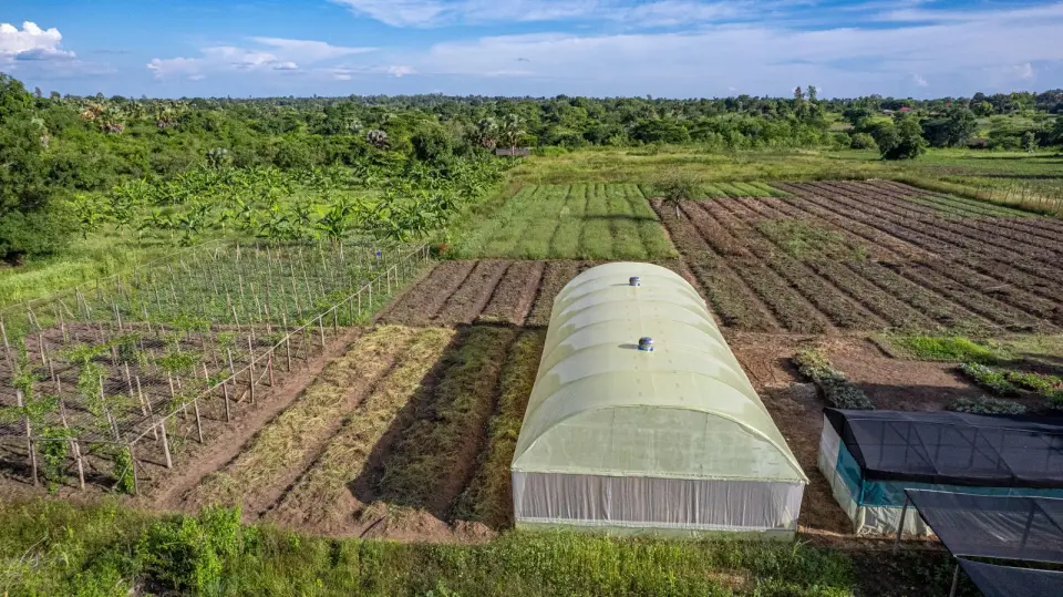 Aerial view of farm plots and a greenhouse in Yumbe