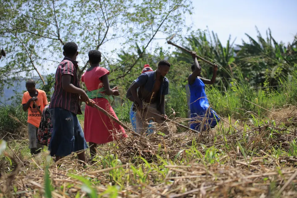 Farmers clearing and preparing a field together