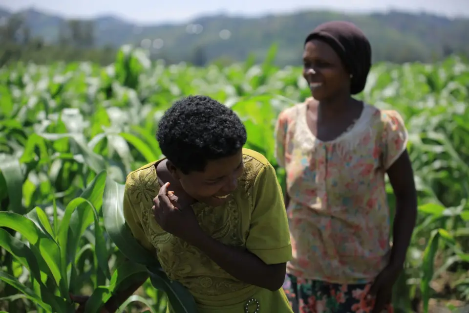 Two women laughing in a maize field