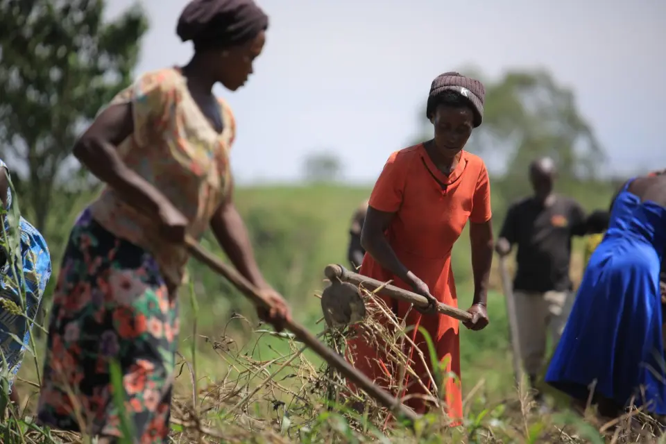 Women preparing the ground with hoes