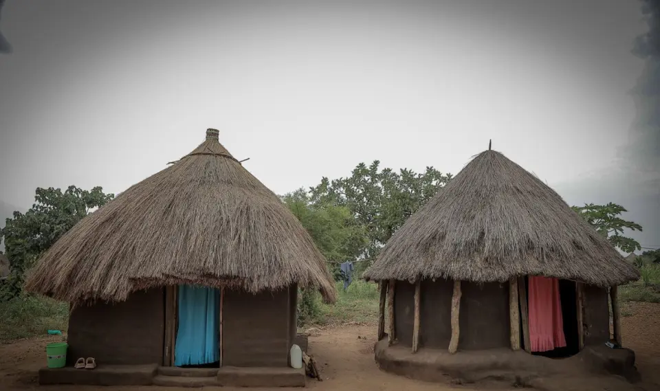 Two homes with thatched roofs