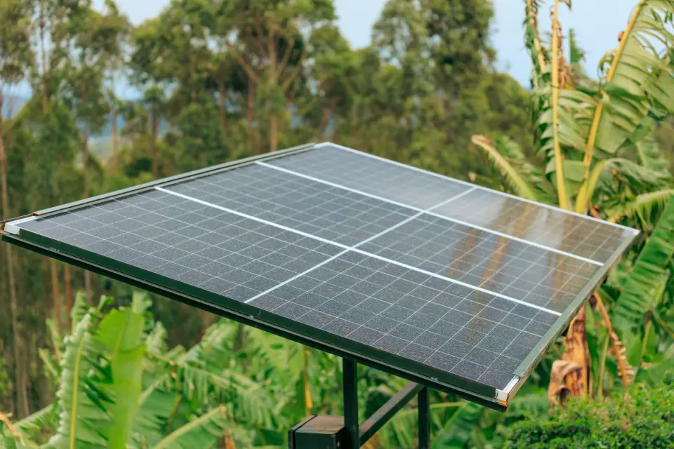 A solar panel among banana plants in Rukungiri