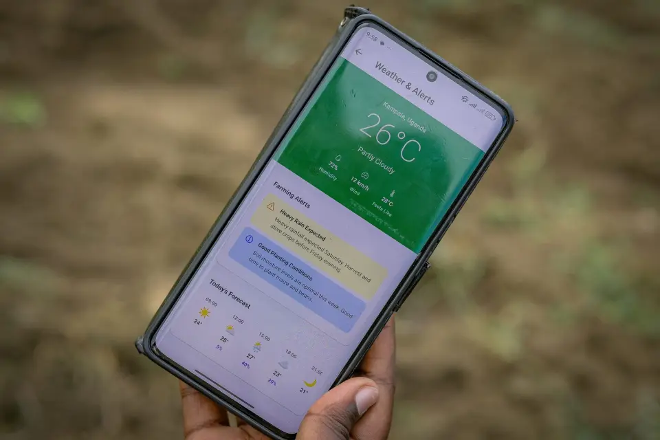 A weather forecast open on a phone held up in a field in Yumbe