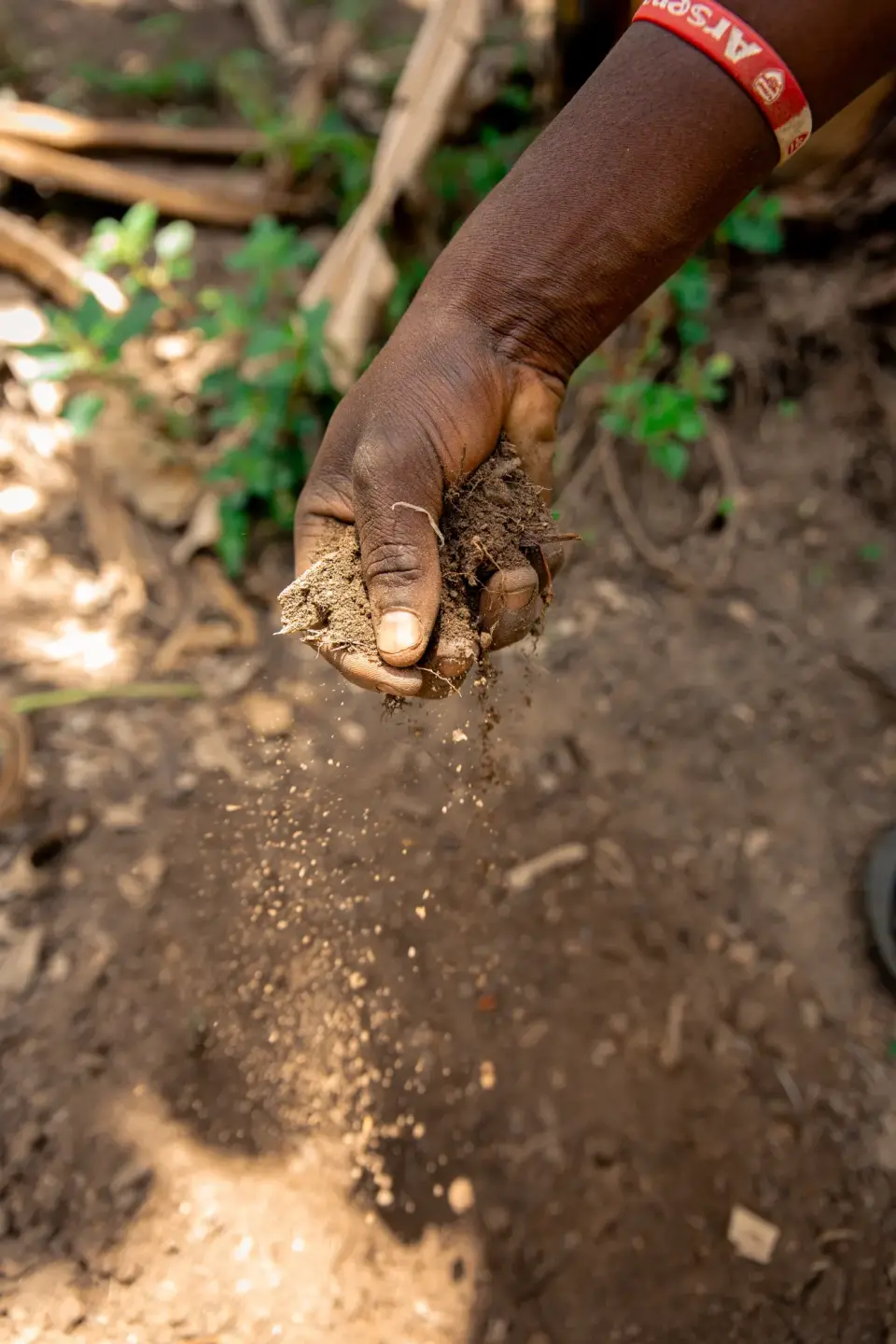 Soil falling from a farmer’s hand in Rukungiri